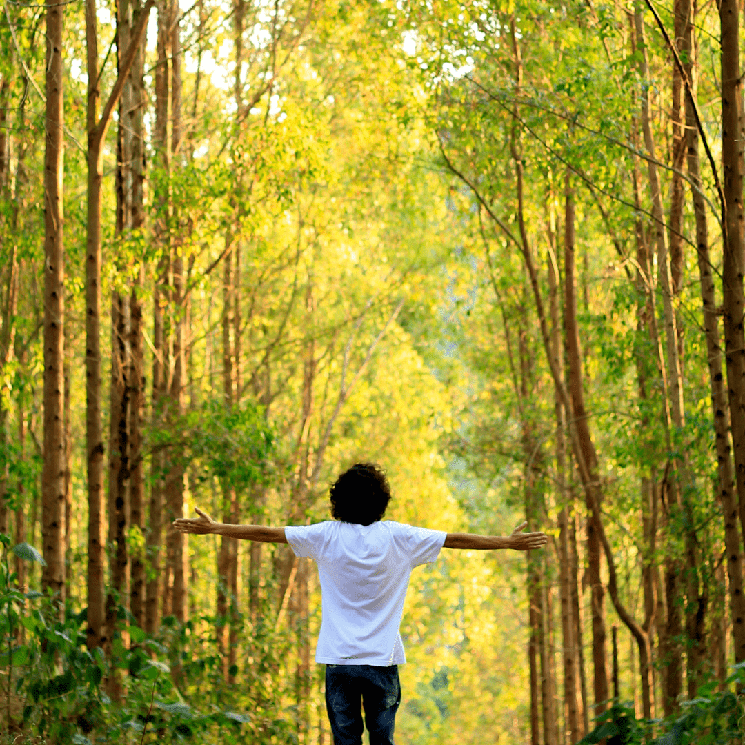 Contatto con il mondo Naturale